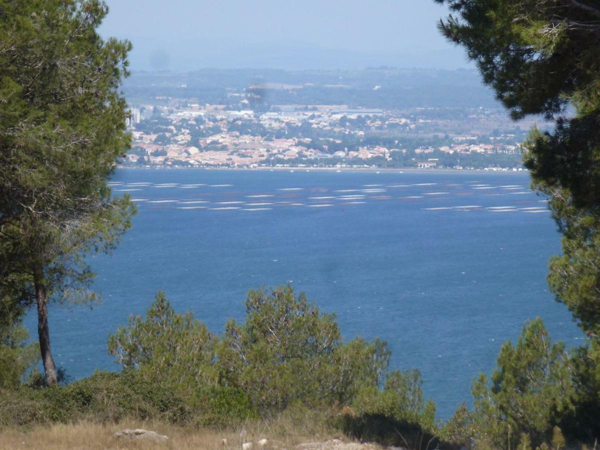 Homestay Aux Marches Du Soleil: Shared With Private *